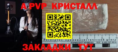 прущие грибы Тула