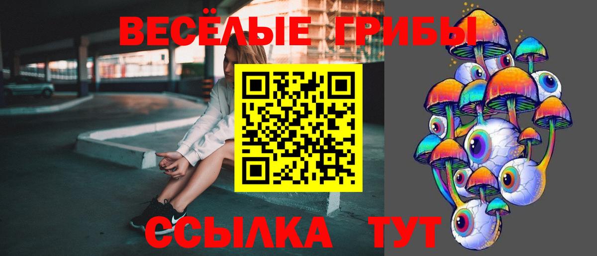 Псилоцибиновые грибы Psilocybe Мценск