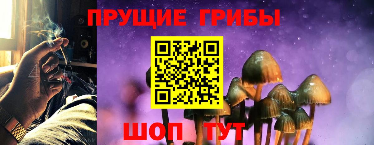 Псилоцибиновые грибы Cubensis  Галлюциногенные грибы мухоморы  Вход с VPN  Мценск 